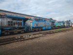 RUMO 9843